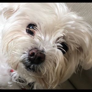 Meet your Posher, Anita